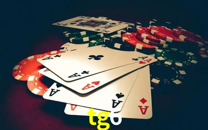tg6 visual 2